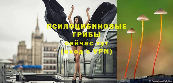 сатива Абинск