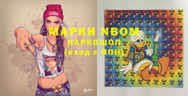 сатива Абинск