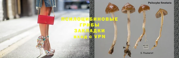 ешки Алексеевка