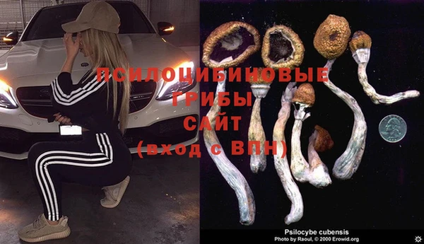 mdpv Абаза