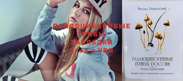 сатива Абинск